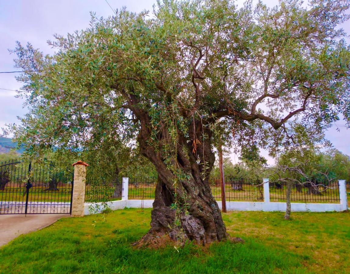 Villa Calypso Skala Rachoni  Exterior photo