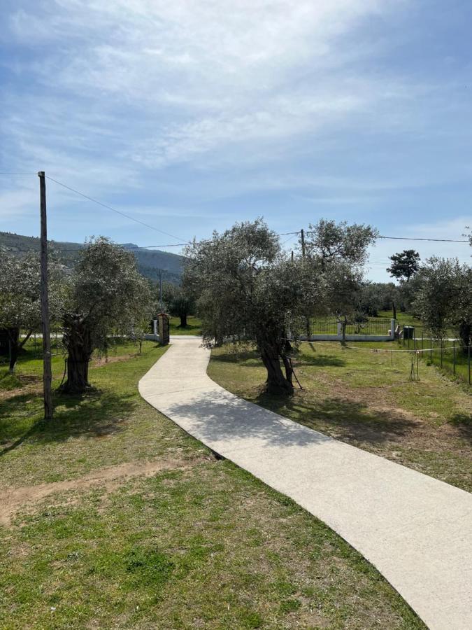 Villa Calypso Skala Rachoni  Exterior photo